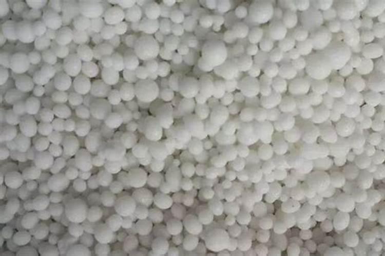 桃树什么时候施肥效果最好