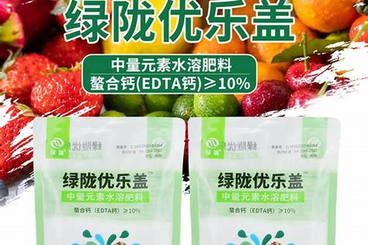 云南富源二代白魔芋种植效益怎么样