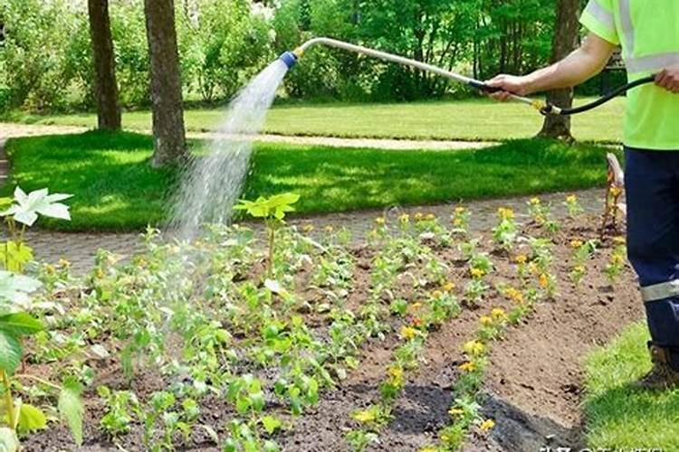 叶面肥喷过后下雨有影响吗？