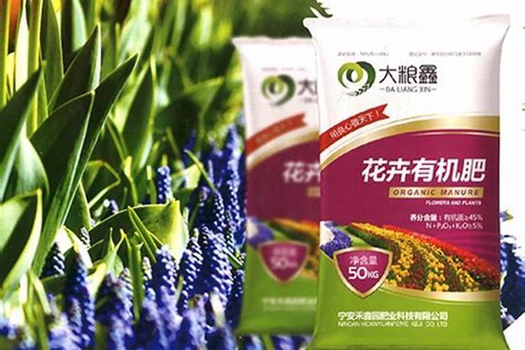 如何种植石菖蒲？