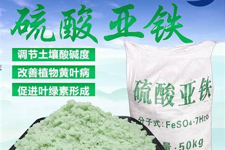 什么肥料含铁