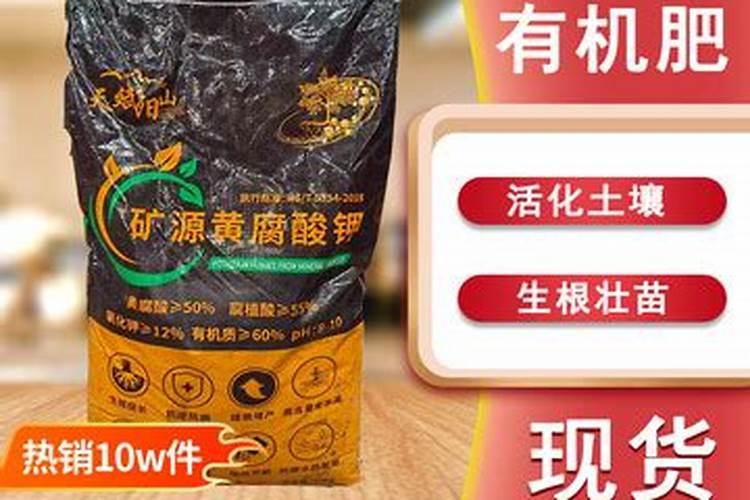 果树挂果期间用什么肥