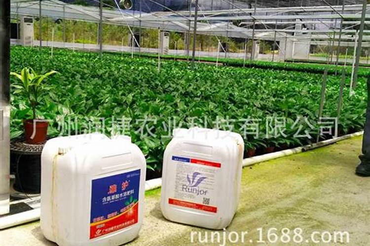 夏季瓜果类可以用矿源黄腐酸钾吗