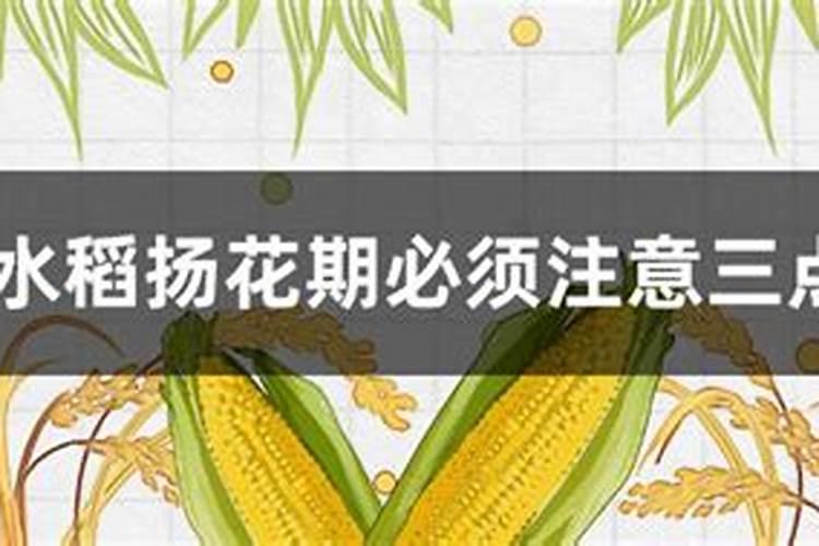 矿源黄腐酸钾在水产养殖中的作用