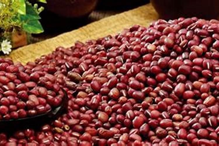 如何种植好红小豆