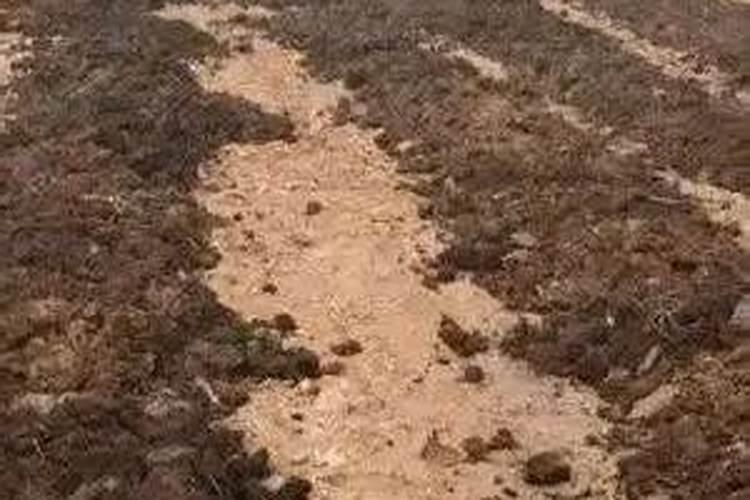 黄腐酸钾一亩地用多少