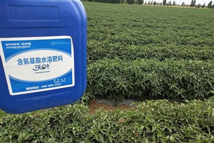 水溶肥的三大害处