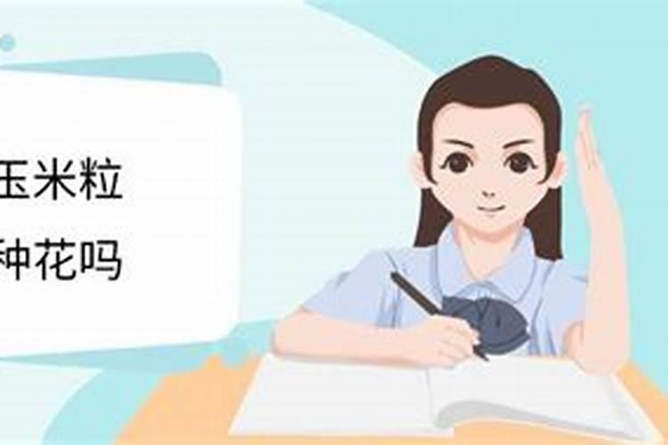 玉米两个叶能喷施叶面肥吗