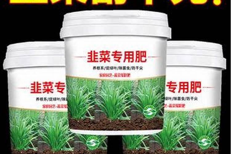 绿萝需要施什么肥,以氮肥为主、钾肥为辅(增施叶面肥)