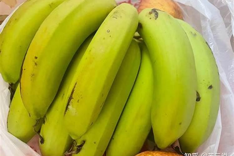 蟹爪兰掉花苞怎么办？