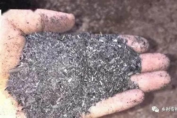 富含钙的食物有哪些