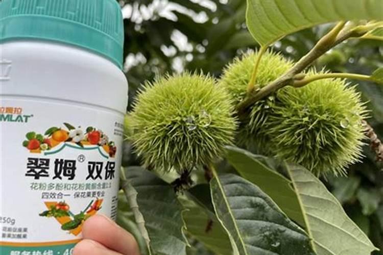 栀子花需要施什么肥