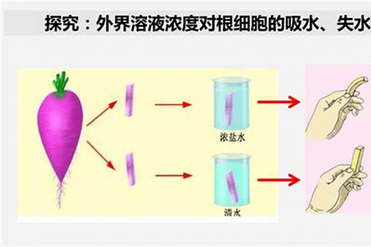 大量元素水溶肥料用法与用量