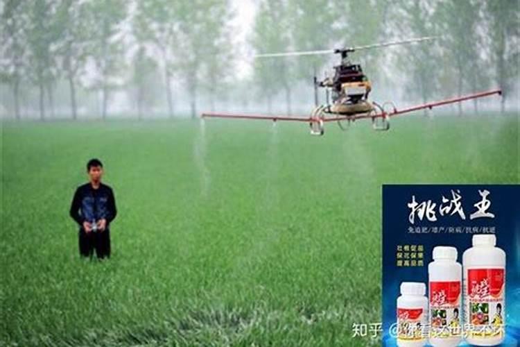 小麦拔节期飞防用多少氨基酸叶面肥