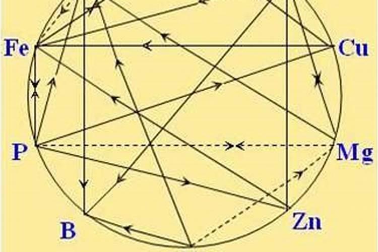 辣椒叶子干黄总是大量掉叶怎么回事？