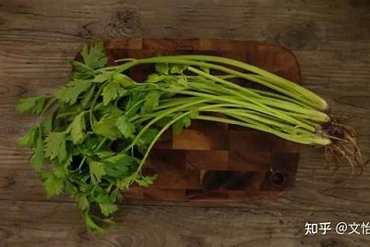 大棚小香芹病虫防治,求专家指导