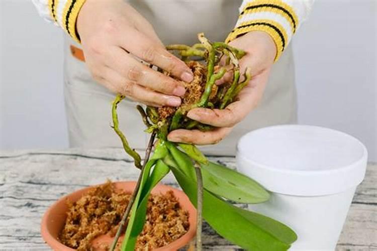 钾肥和钙肥可以混用吗