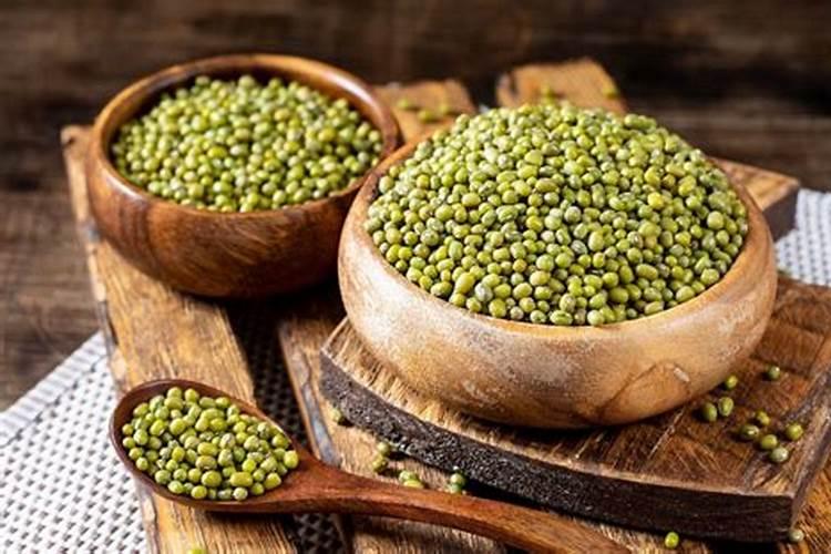 早安玉米人:新季玉米上市临近,用粮企业继续下调挂价