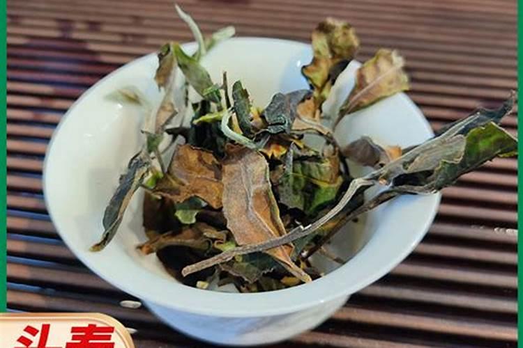 安吉白茶冬天要喷叶面肥吗