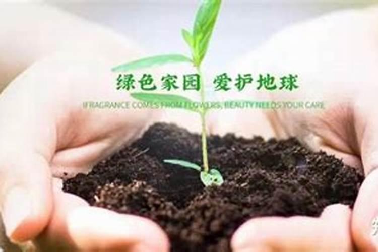 畜牧草种多少钱一公斤