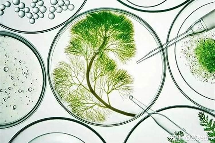 自制沤肥很臭如何除臭