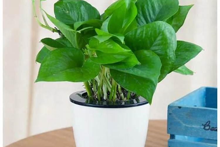 四川宏利达农资有限公司怎么样？