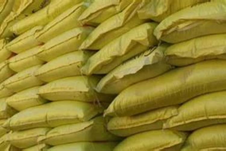 风铃花的养殖方法是什么