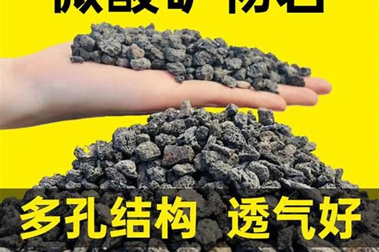 仙人球对土壤的要求: 仙人球用什么土养好