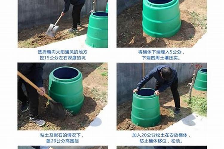 多肉用什么肥料施肥最好