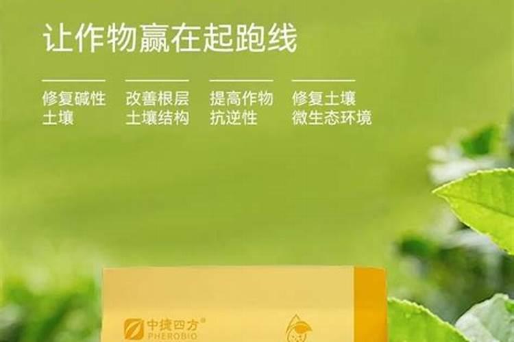 钾肥是什么肥料