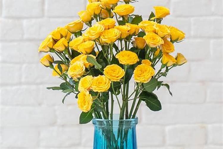 石竹梅鲜切花怎么种植