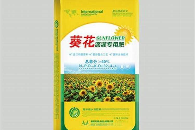 葵花开花了时能追肥吗