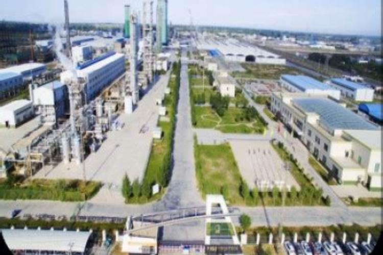 硼肥对油菜的作用,硼肥过量怎样补救