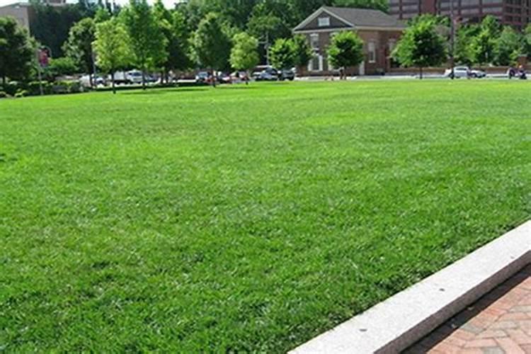 液体肥料有结晶会影响肥效吗