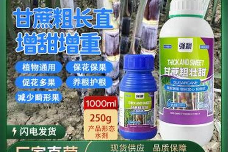 葡萄树如何施肥葡萄树的施肥方法