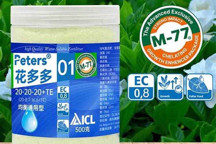 上海有哪些绿化公司