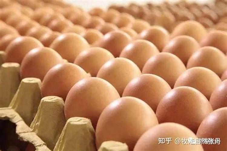 茶花鱼蛋白灌根最简单三个动作