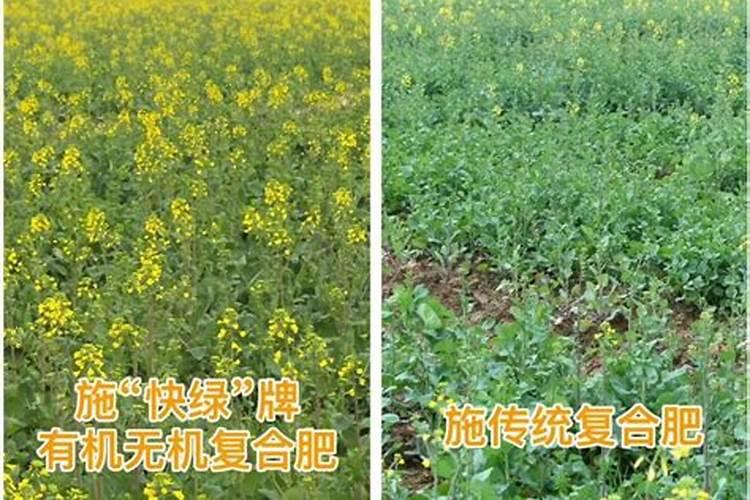 油菜开花施什么肥什么叶面肥好？