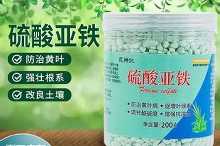 玉米地氮肥深施有哪些作用？