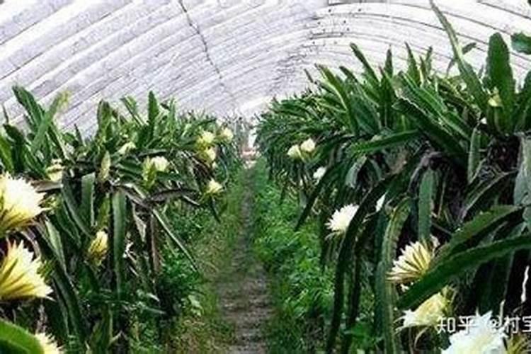 铵态氮肥保存应注意什么？它不宜与什么性的肥料混合使用？