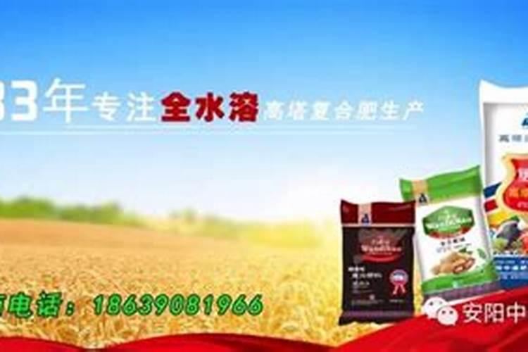 果树秋季用什么底肥好