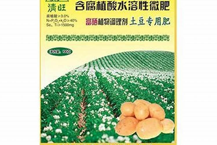 龙眼用硼肥料怎么施肥