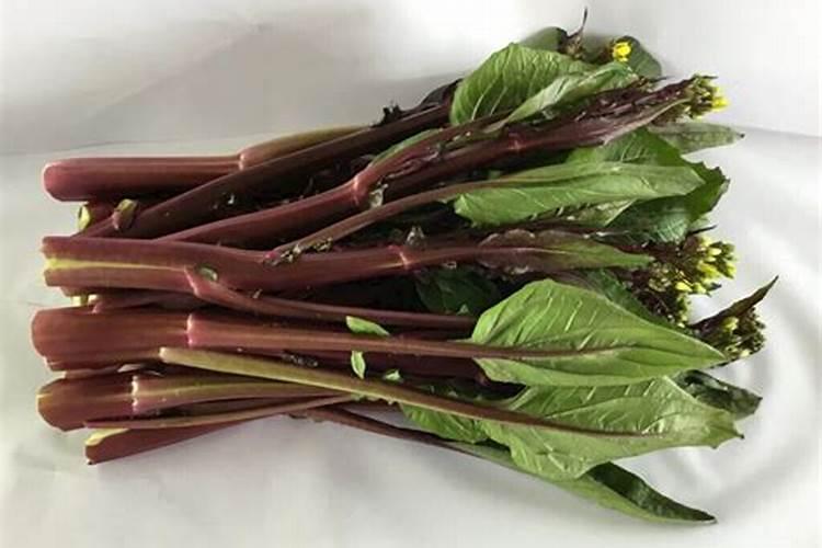 尿素磷肥钾肥复合肥的区别