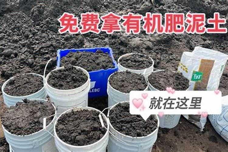 如何给花生追施钙肥？