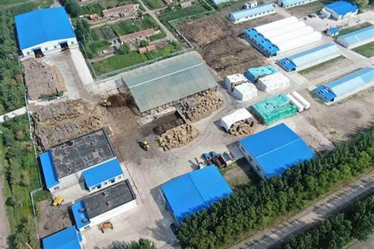 黑龙江齐齐哈尔市都有哪些知名的企业？!