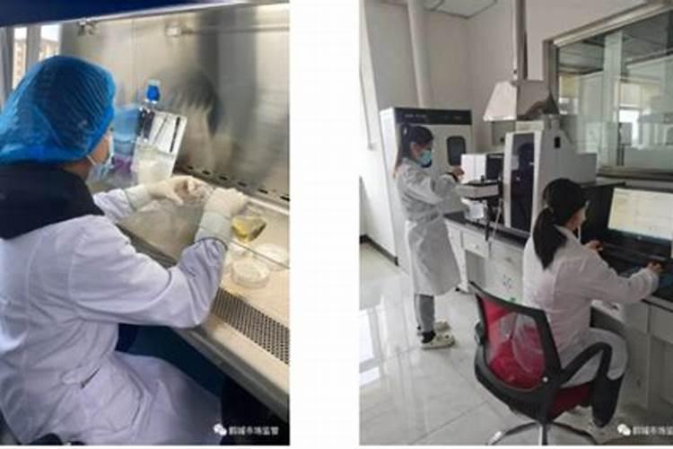 齐齐哈尔十大特产 齐齐哈尔特产有哪些 齐齐哈尔有什么特产值得买百 ...