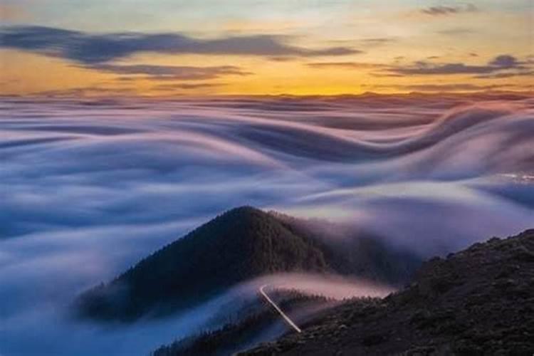 薄荷怎么水培转土培