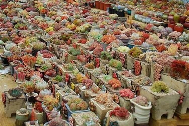 稍微运动就心慌气短浑身颤抖缺什么