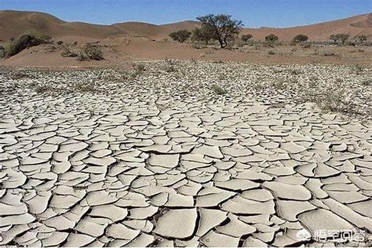 陕西眉县猕猴桃产业面临的主要问题是什么？罗布泊钾肥如何解决？