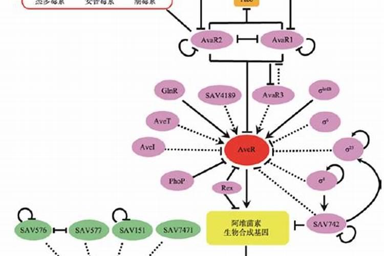 大蒜喷什么叶面肥好!防病毒用啥